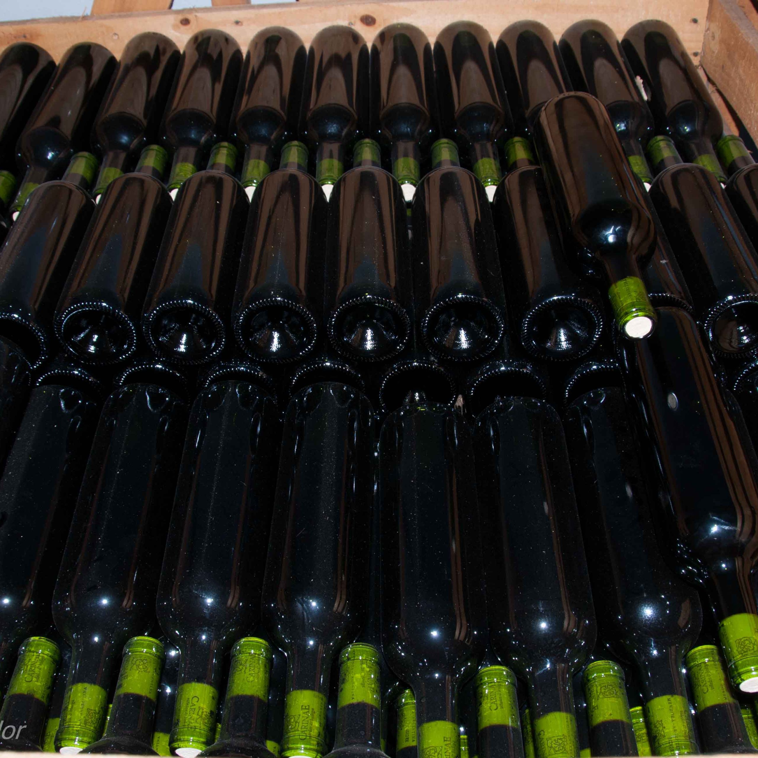 Kit Wine Making Class OCWS