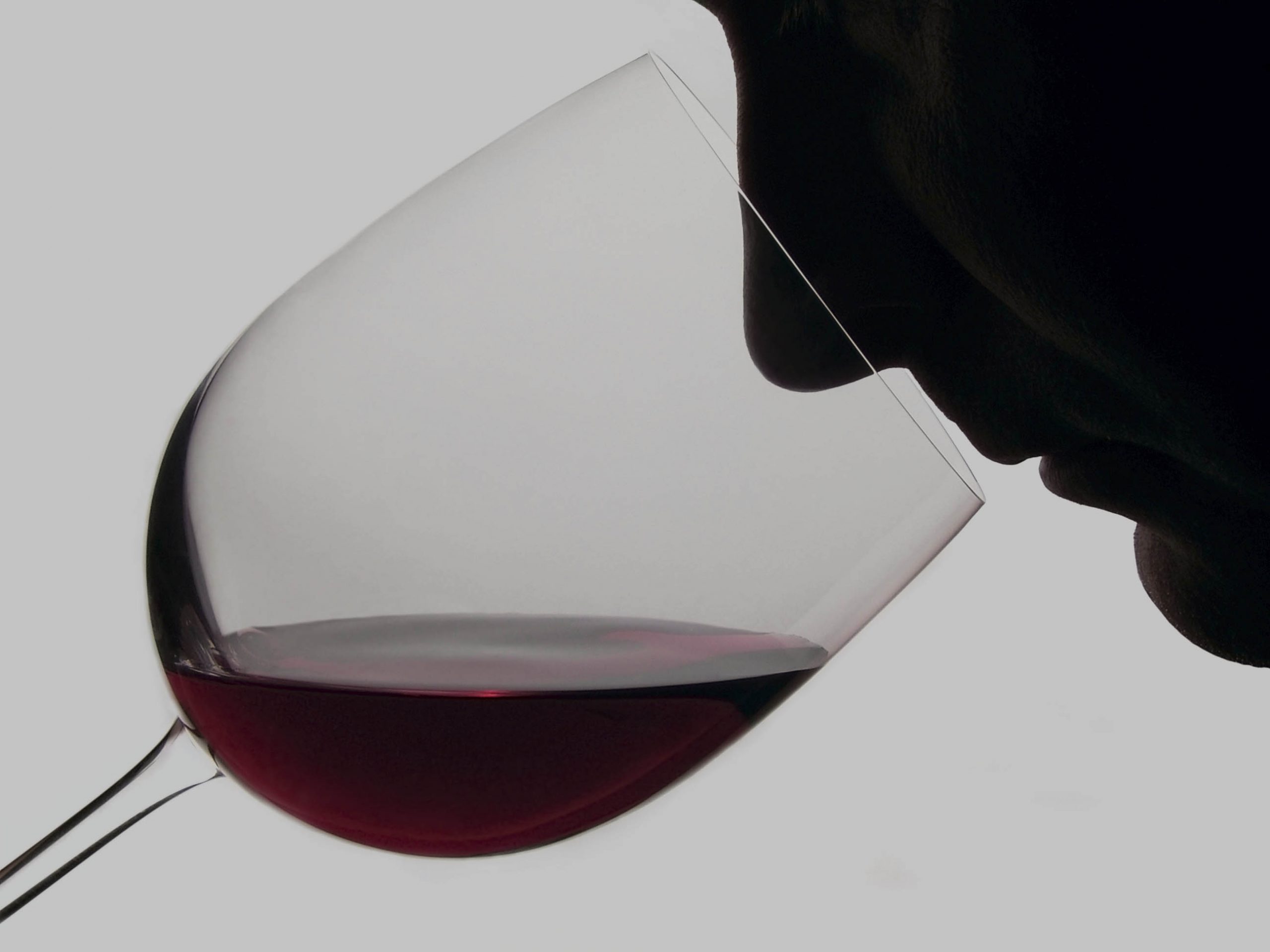 How to Sample Wine OCWS