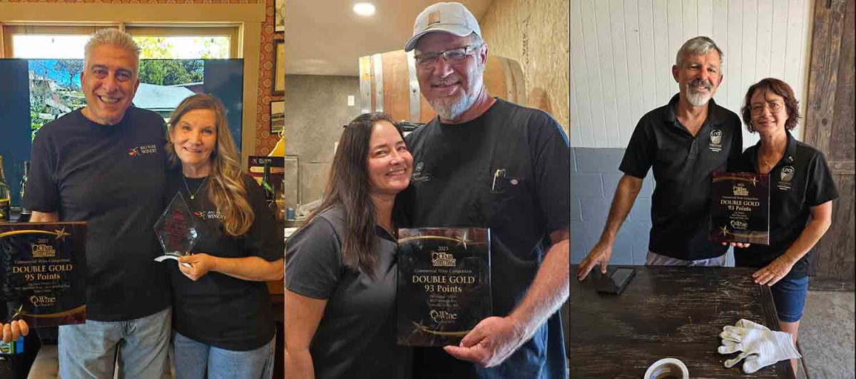 From Home Winemaker to Best of Class
